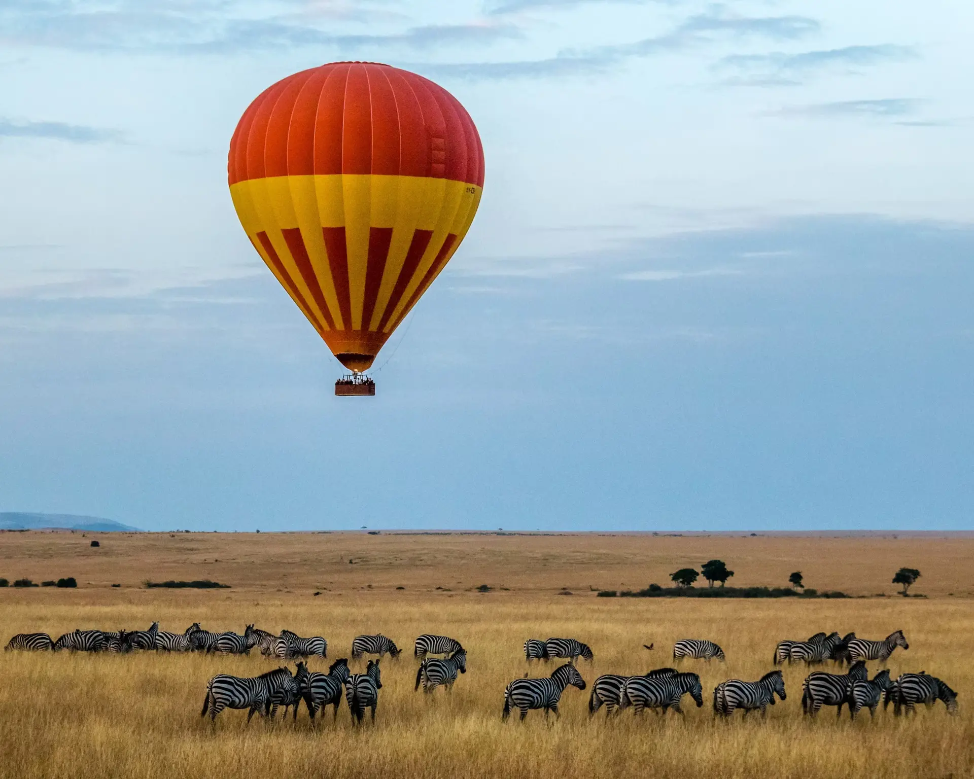 Hot air balloon drifting over a zebra herd on the Serengeti at dawn