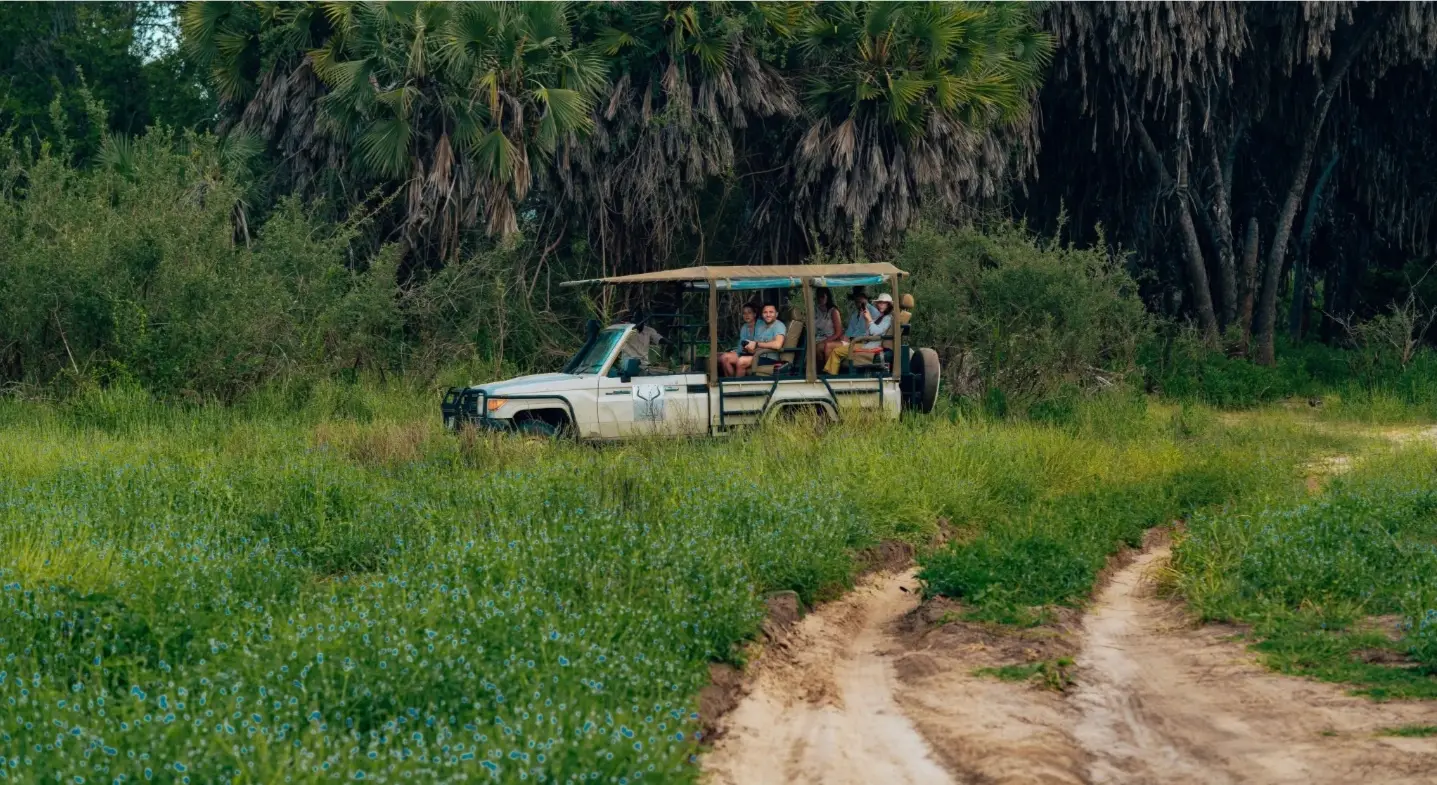 Safari vehicle on a Tanzanian bush track