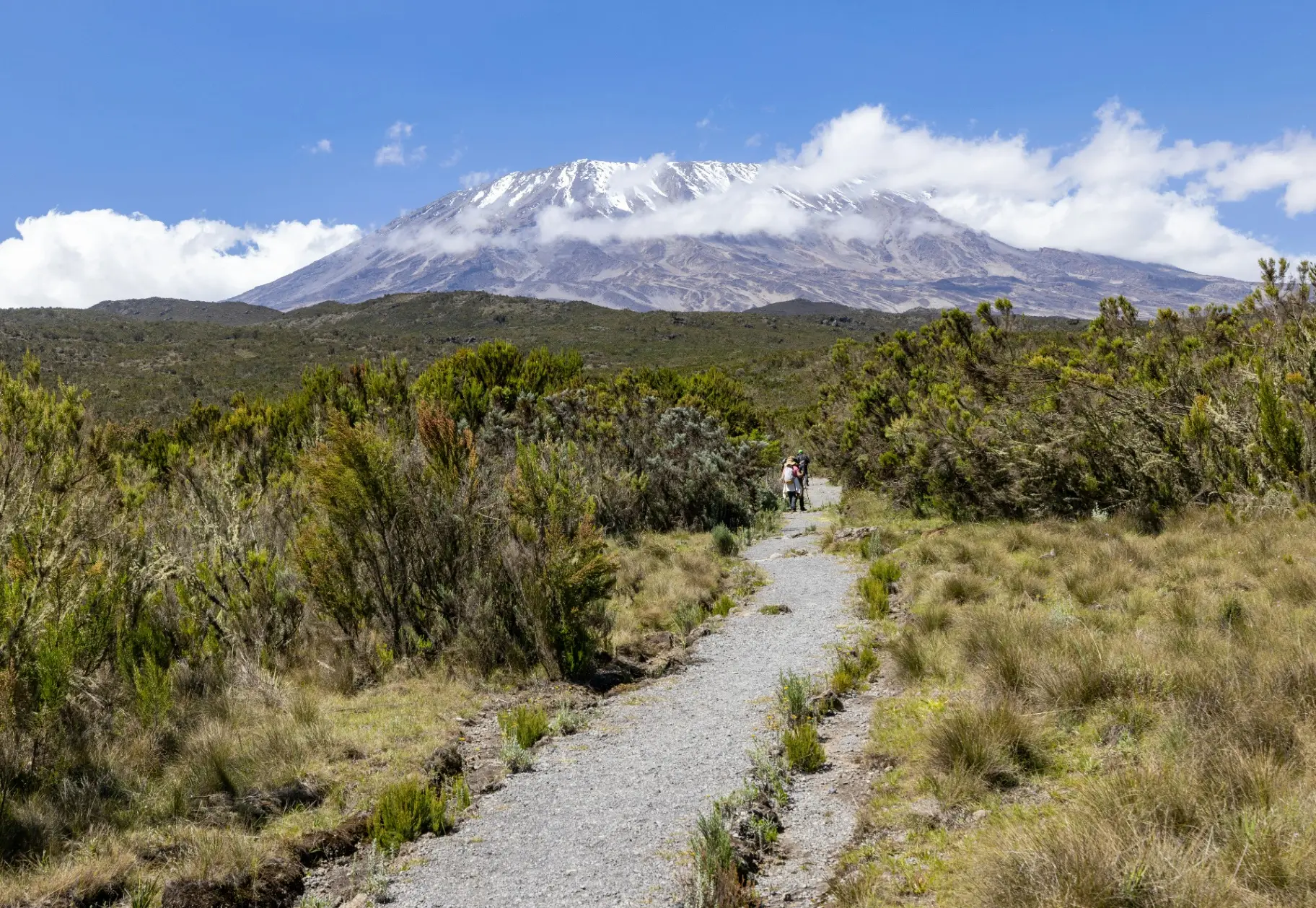 Kilimanjaro — Africa's roof, summit by lantern light