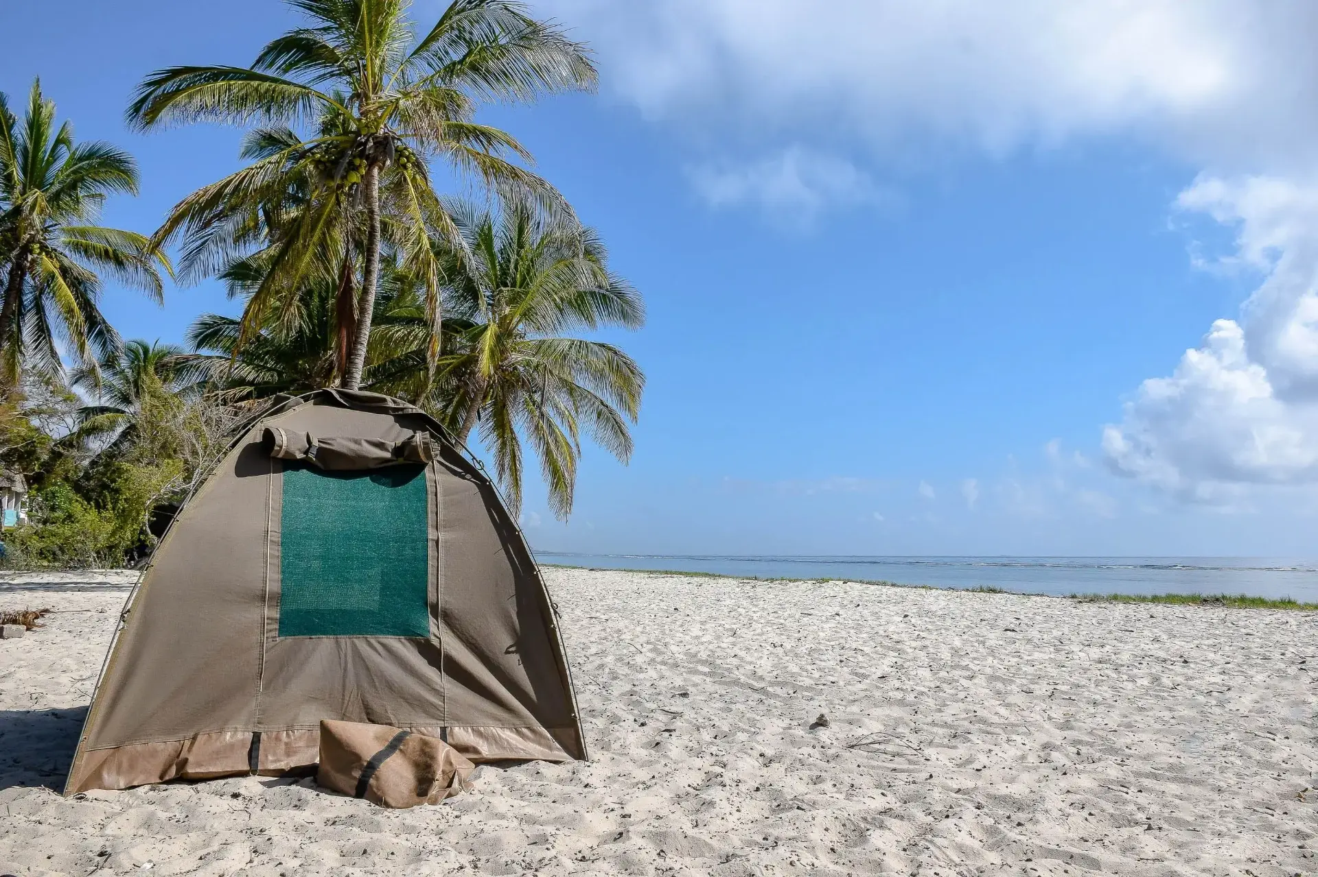 Saadani — Where the jungle meets the ocean